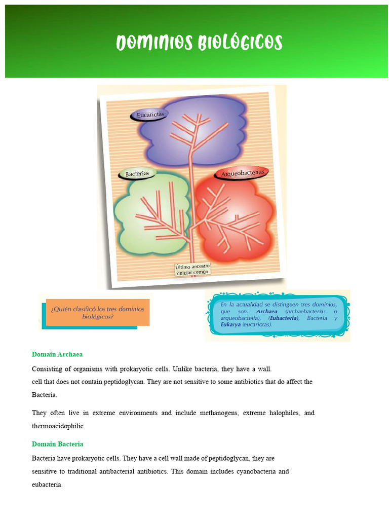 Biological Domains | PDF | Eukaryotes | Archaea