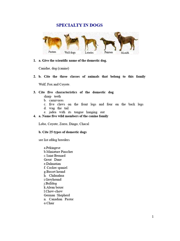 Dog Specialty | PDF | Dogs | Dog Breeds