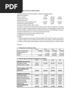 Desarrollo de prácticas  del Flujo de Caja Proyectado