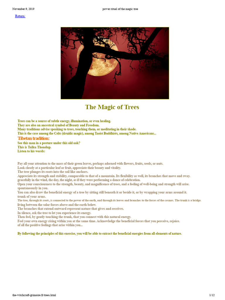 Power Rituals of the Magic Tree | PDF | Trees | Olive