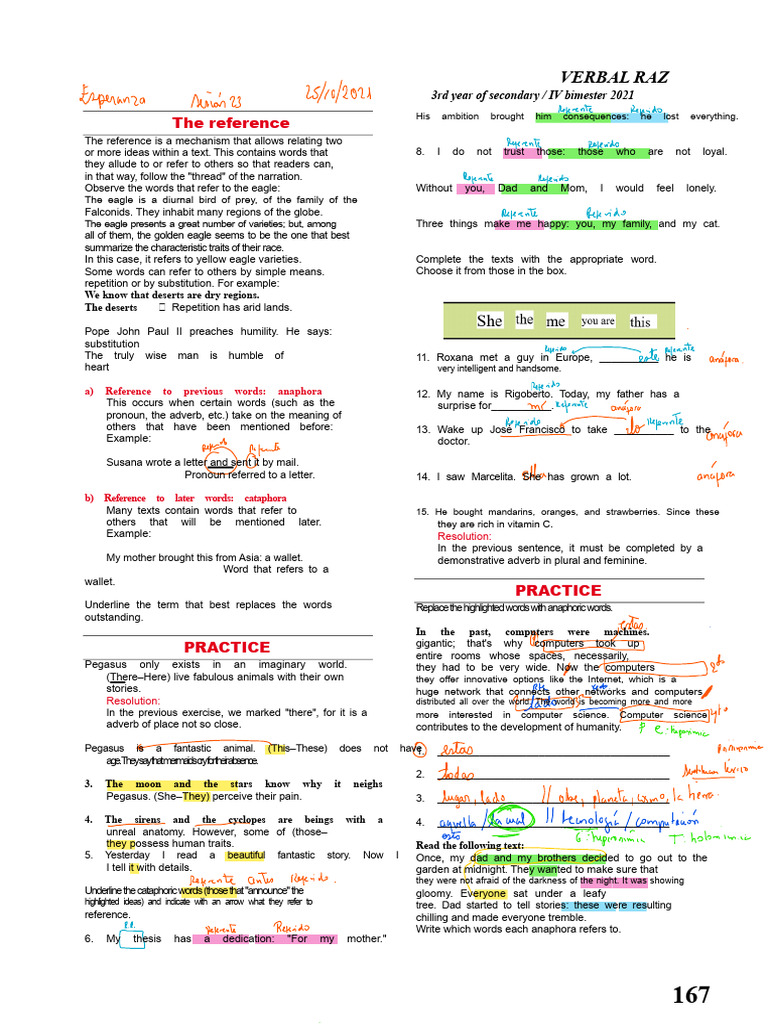 Understanding References in Texts | PDF | Reading Comprehension | Books