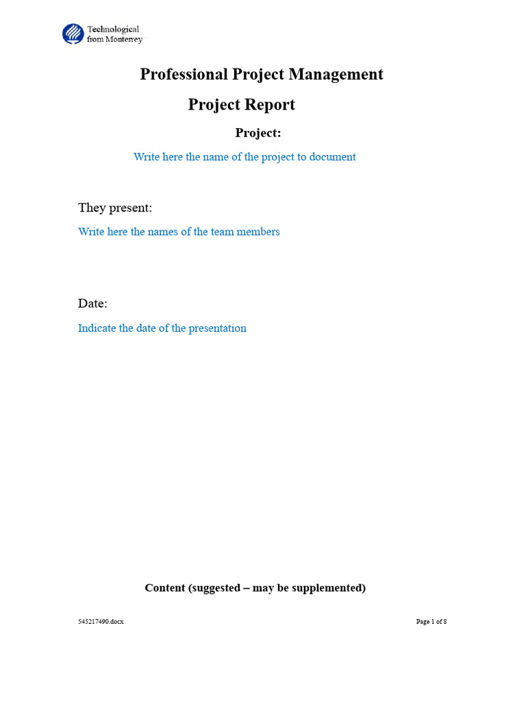 Project Management Report Template | PDF | Project Management | Business