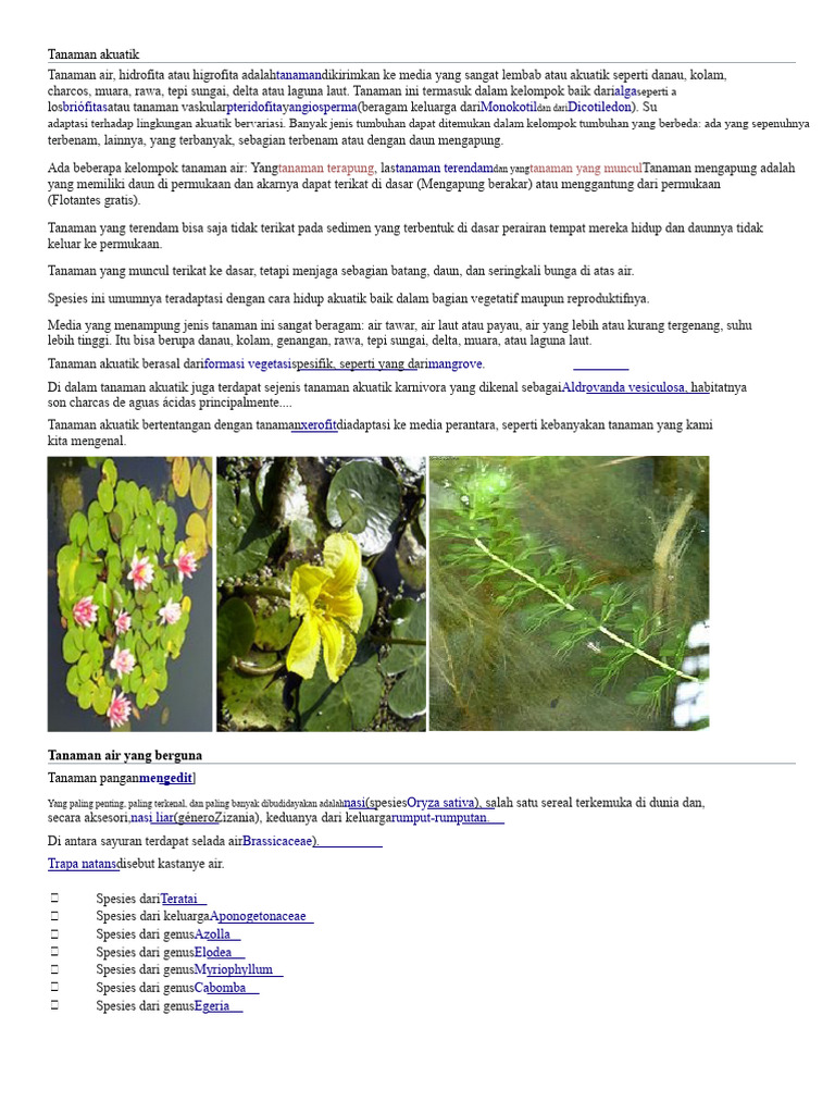 Tanaman Air | PDF