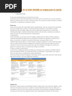Etapas-hasta-el-año