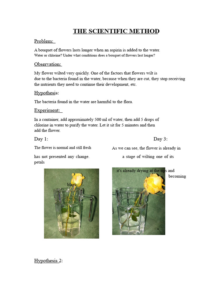 THE SCIENTIFIC METHOD 5th A | PDF