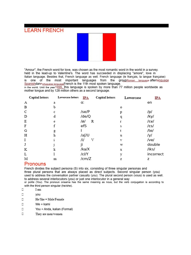 Learn Basic French Vocabulary and Phrases | PDF | Grammatical Number ...