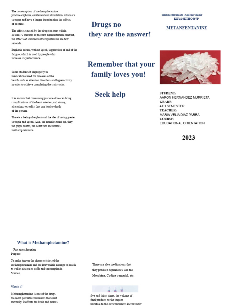 Methamphetamine | PDF | Methamphetamine | Stimulant