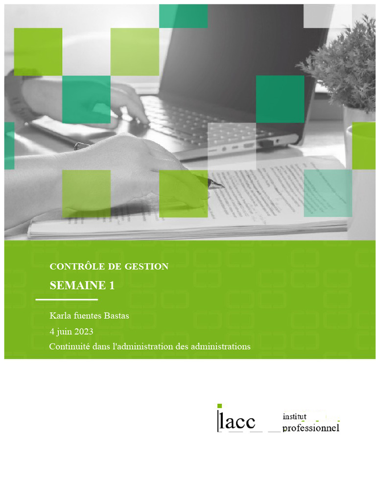 Stratégies de Contrôle de Gestion Efficaces | PDF | Planification ...