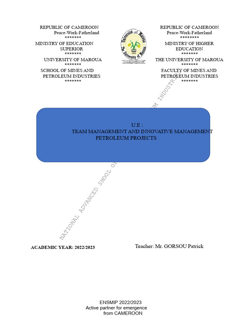Team Management and Management PDF | PDF | Leadership | Motivation