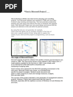 Microsoft Project Version History | PDF