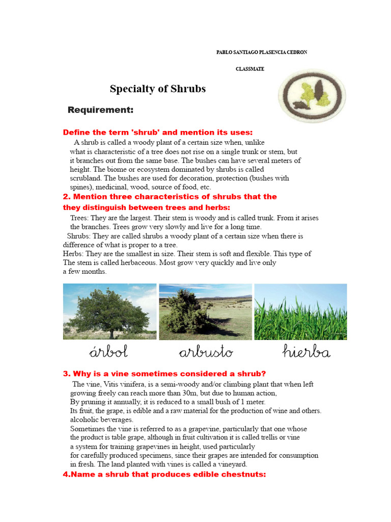 Shrub Specialty | PDF | Shrub | Vitis