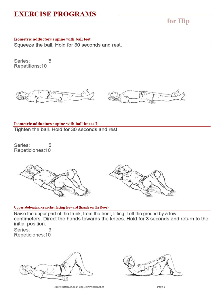 Hip Exercise Program Guide | PDF