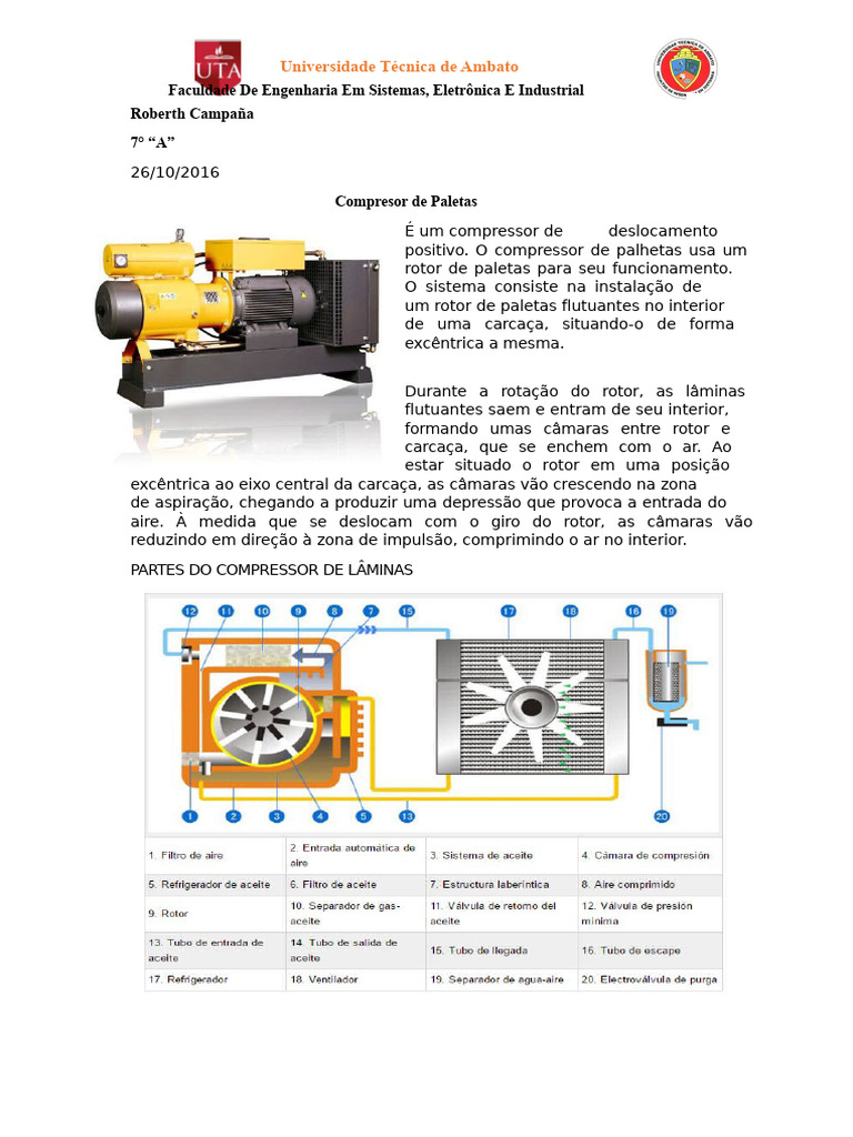 337344252-Compressores de Paleta | PDF | Engenharia Mecânica