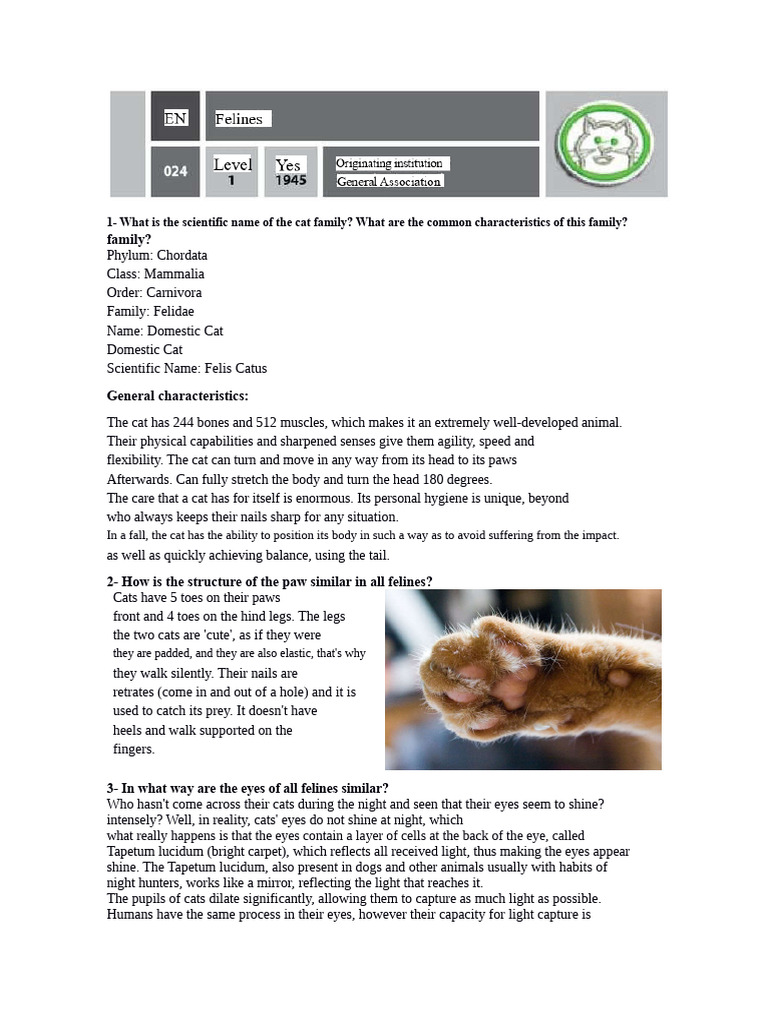 Characteristics of the Cat Family Felidae | PDF | Cats | Felidae