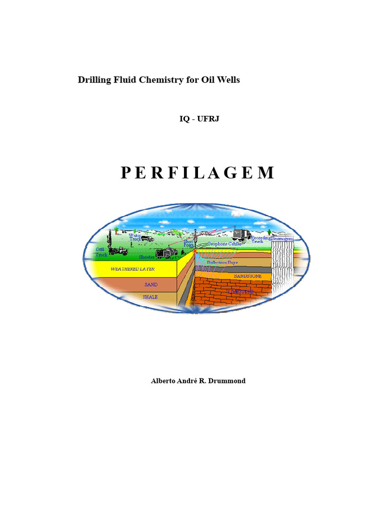 Booklet - Profiling | PDF | Porosity | Petroleum Reservoir
