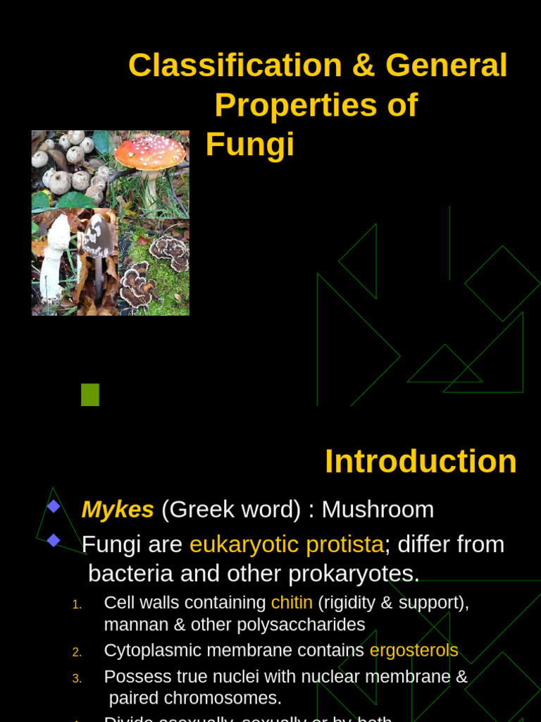 Classification and General Properties of Fungi | PDF | Fungus | Yeast