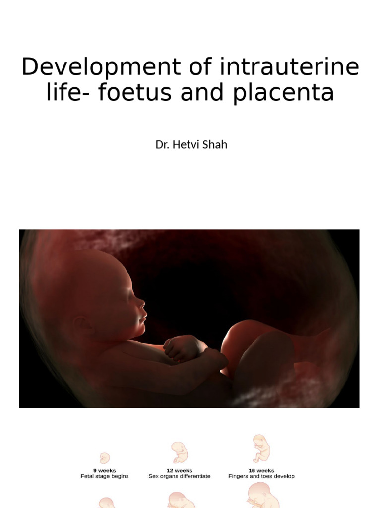 Development of Intrauterine Life - Foetus and Placenta | PDF | Placenta ...