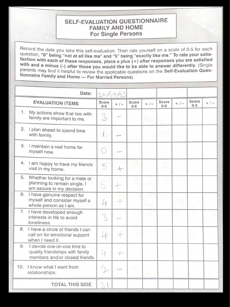 Self Evaluation Questionnaire | PDF