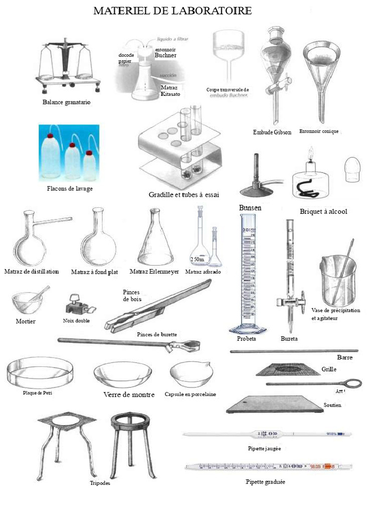 Équipement de laboratoire essentiel | PDF | Thermomètre