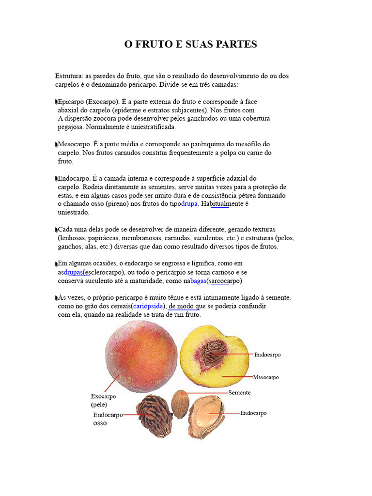 Estrutura e Tipos de Frutos: Pericarpo | PDF | Técnicas de horticultura ...