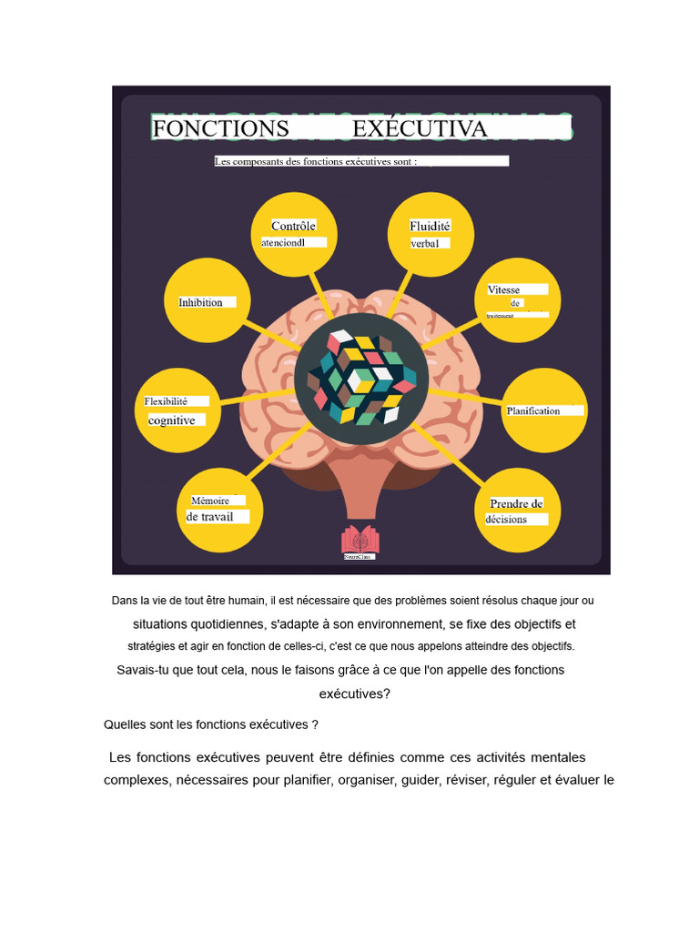 Comprendre les fonctions exécutives | PDF | Fonctions exécutives ...