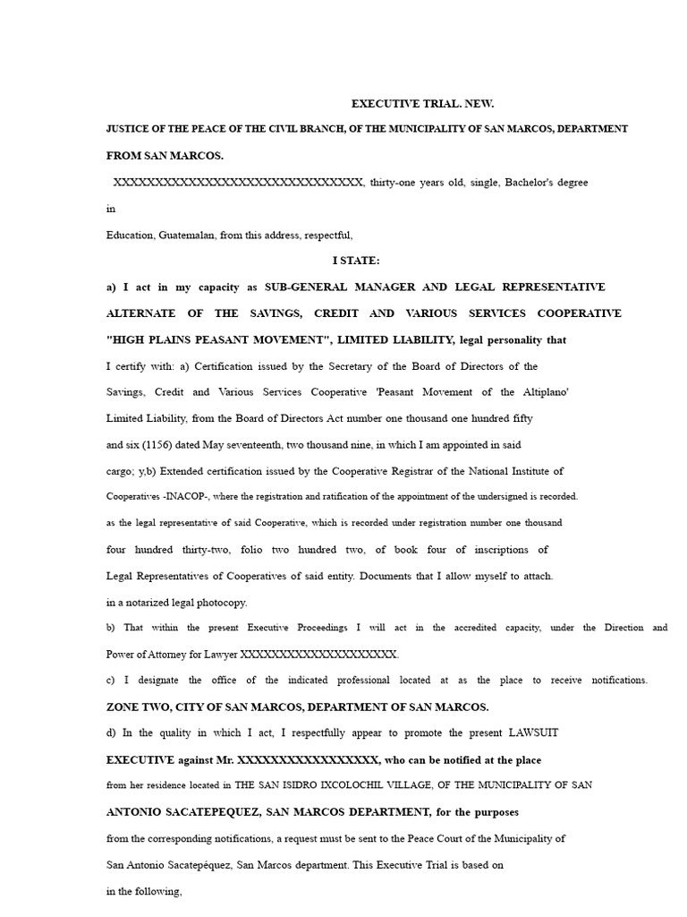 Executive Judgment | PDF | Interest | Debt