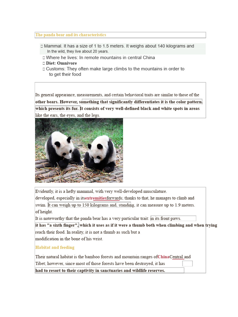 Characteristics of Panda Bears | PDF | Bears | Giant Panda