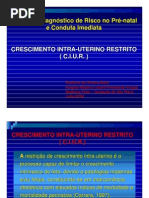 1249057129851aula_ciur-Simposio Pn 2009 Ciur