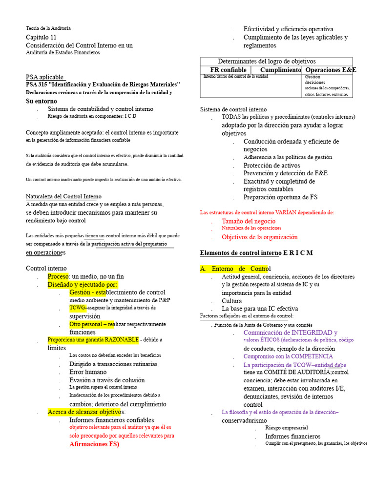 Capítulo 11 Control Interno | PDF | Auditoría | Gestión de recursos humanos