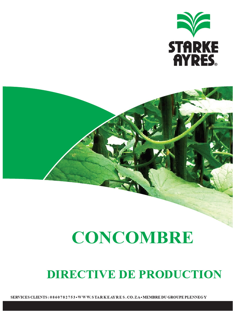 Guide de culture du concombre en serre | PDF | Concombre | Pollinisation
