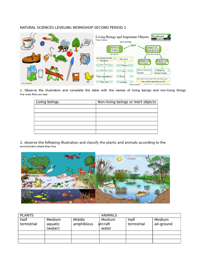 Natural Sciences Workshop: Habitats & Adaptations | PDF | Habitat ...