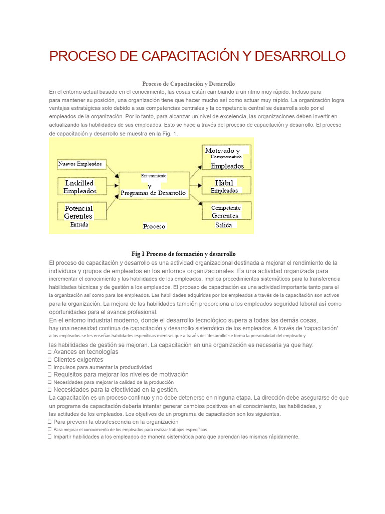 Proceso de Capacitación y Desarrollo | PDF | Aprendizaje | Planificación
