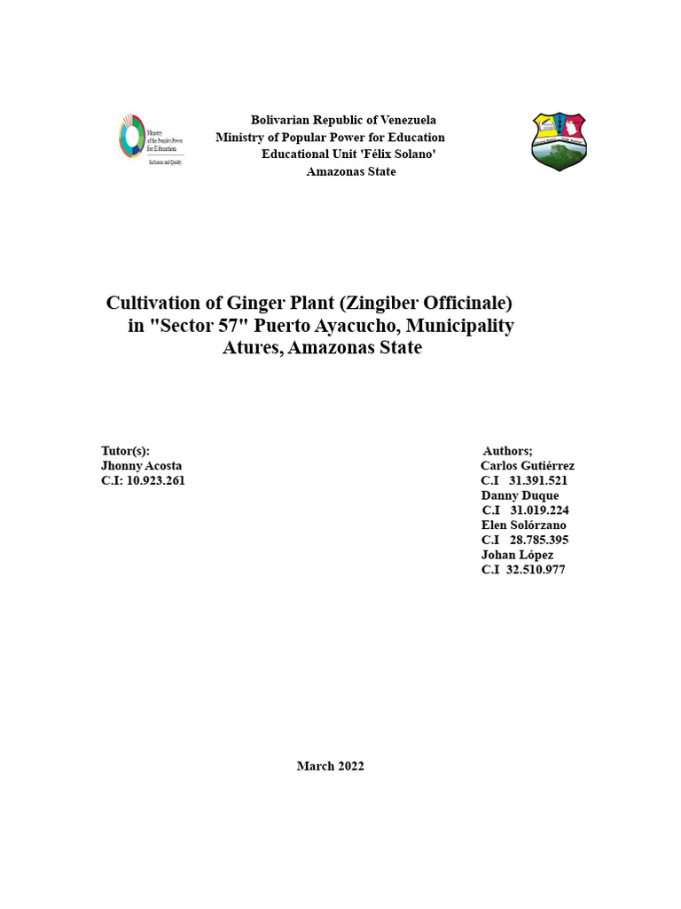Ginger Project | PDF | Ginger | Spice