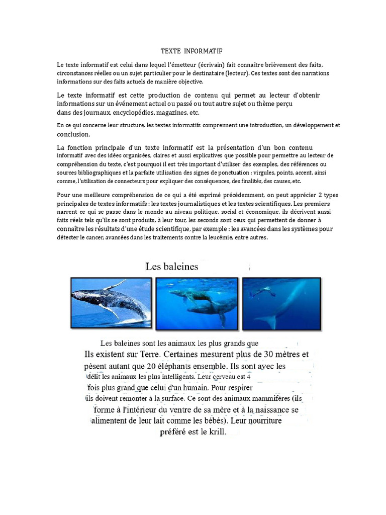 Comprendre le texte informatif | PDF