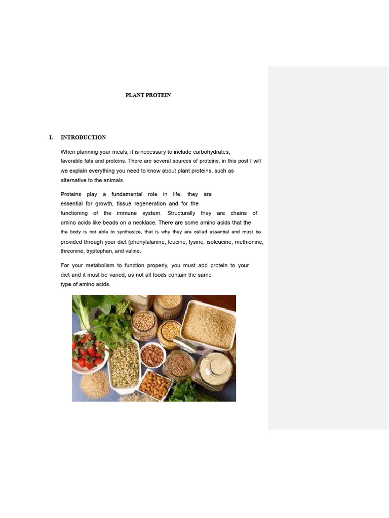 Plant Protein Work | PDF | Chickpea | Amino Acid