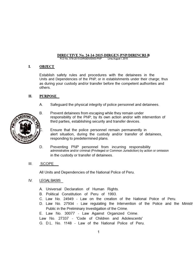 Directive On The Custody of Detainees | PDF | Police | Crimes