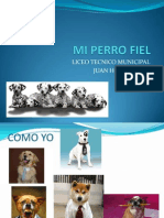 Mi Perro Fiel