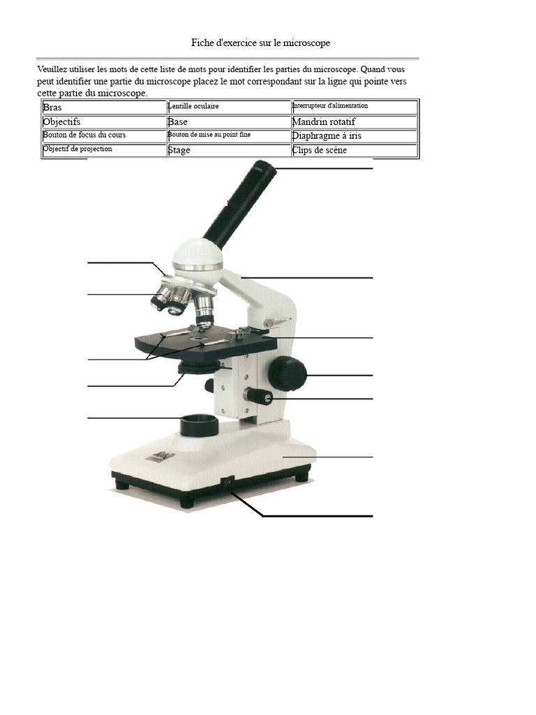 Guide des parties du microscope | PDF