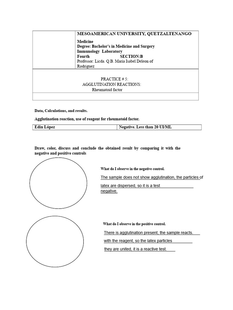 Agglutination Reactions in Rheumatoid Factor Testing | PDF | Antibody ...