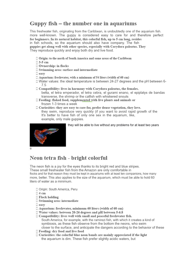 Essential Guide to Popular Aquarium Fish | PDF | Fishkeeping | Aquarium