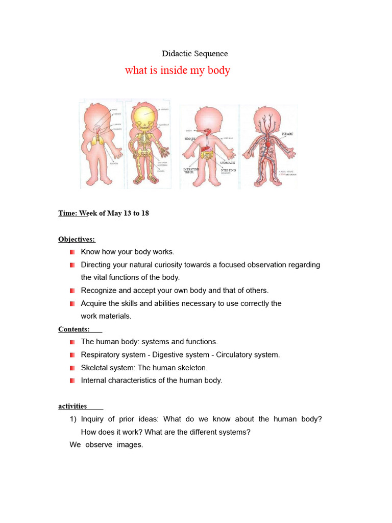 Understanding Human Body Systems | PDF