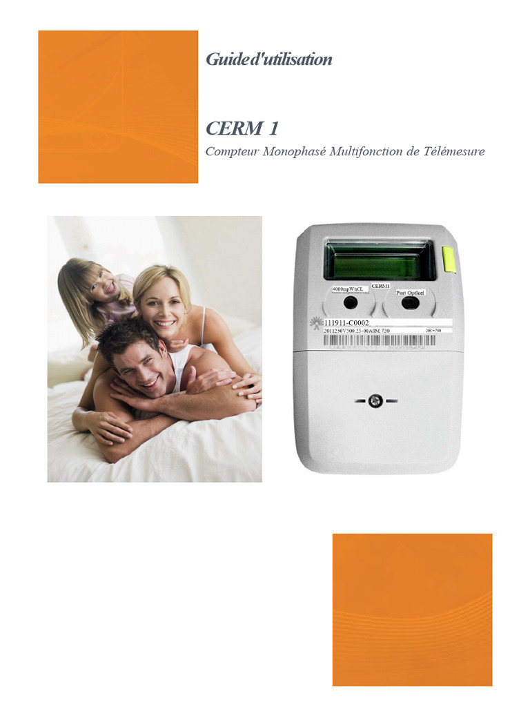 Guide d'utilisation du CERM 1 | PDF | Électrotechnique | Puissance ...