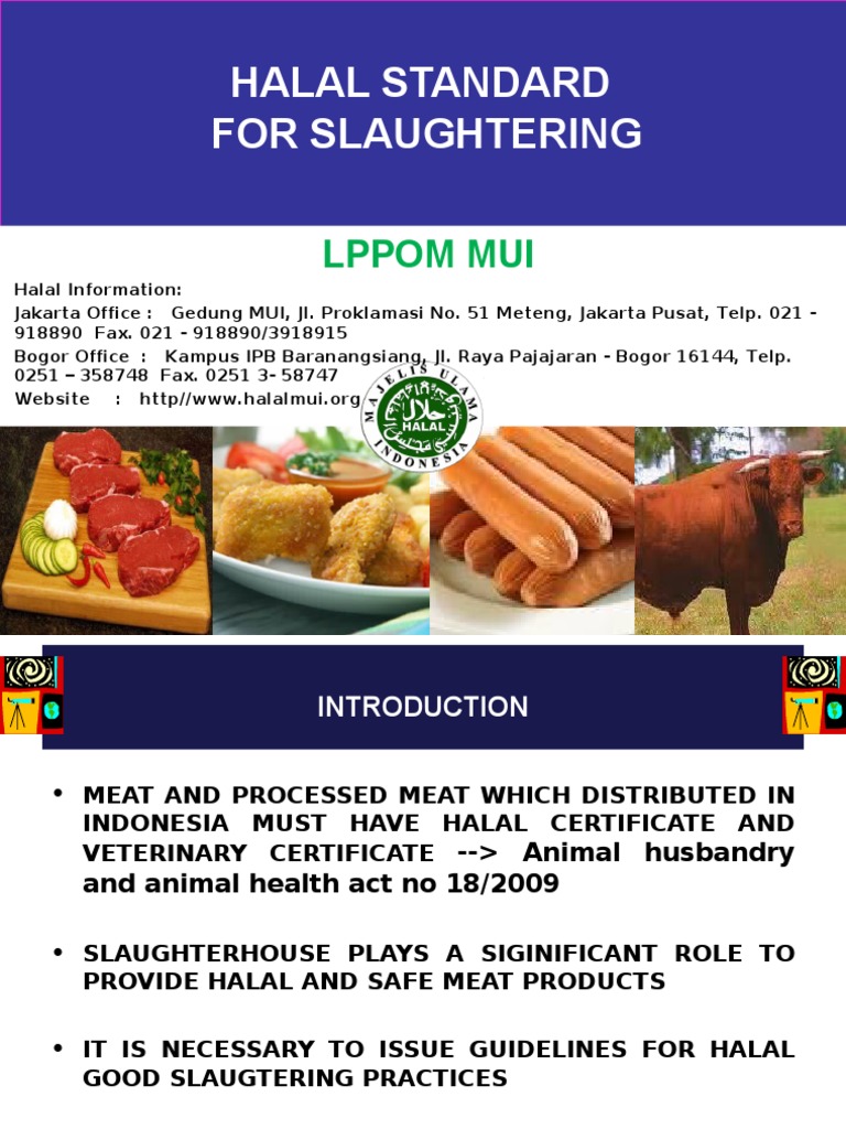 Halal Slaughtering Standards Guide | PDF | Animal Slaughter ...