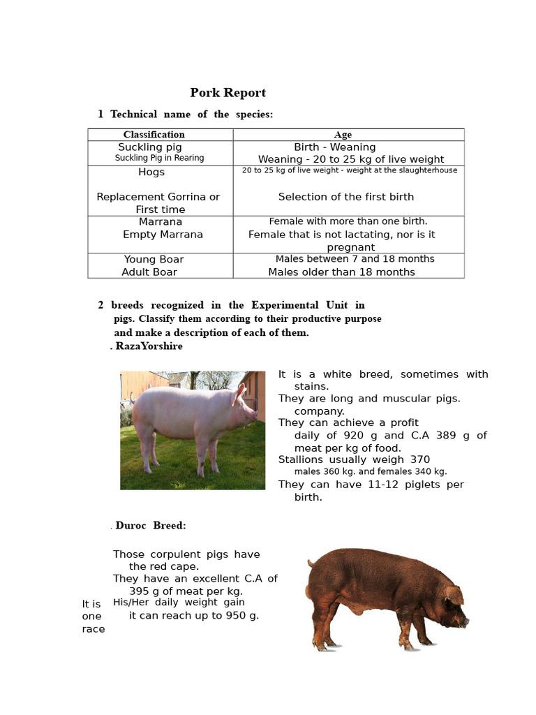 Comprehensive Guide to Pig Rearing | PDF | Pig