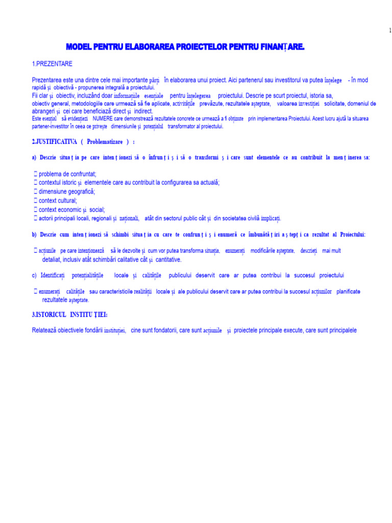 Model Pentru Elaborarea de Proiecte | PDF