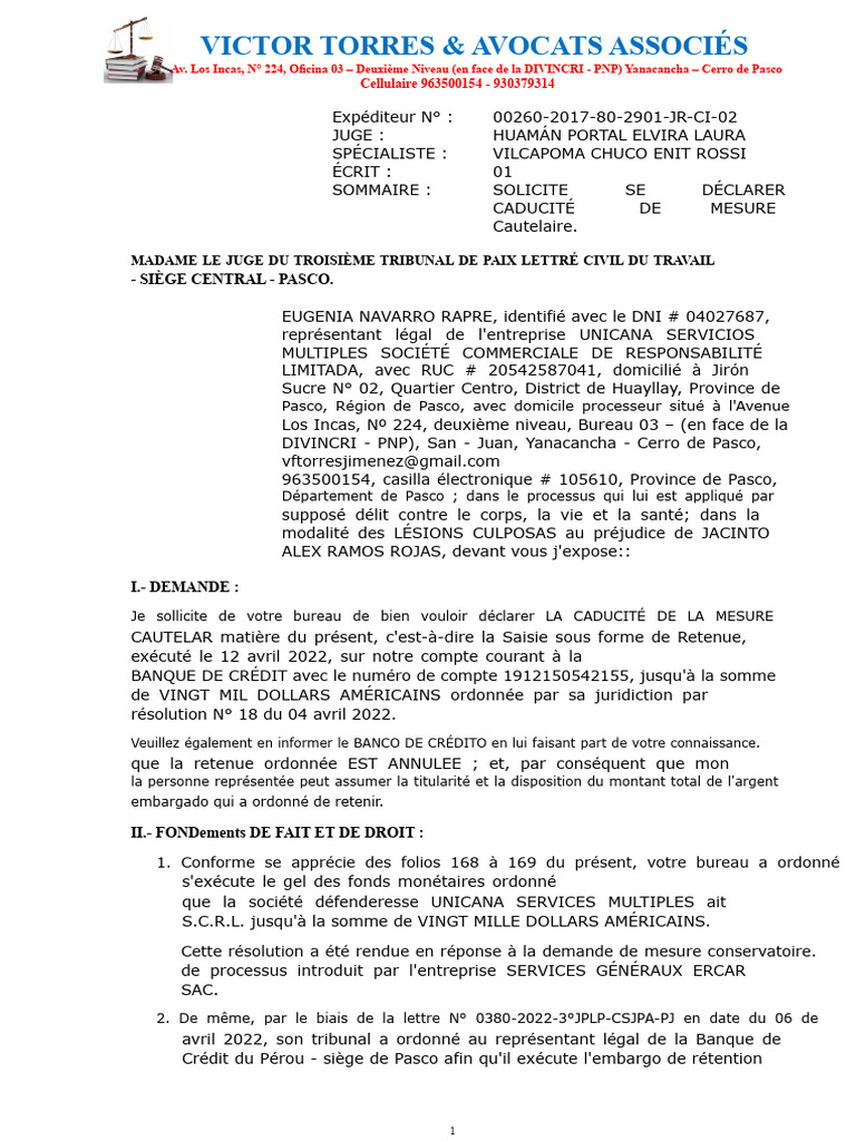 Écrit Demandant L'annulation D'une Mesure Conservatoire | PDF
