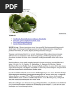 Download Cincau Hijau Kendalikan Hipertensi by Mulia Dila A SN92652206 doc pdf