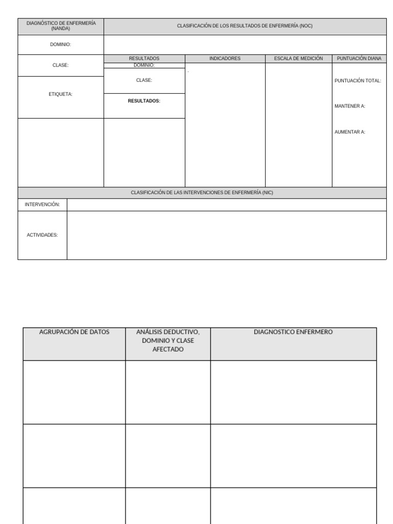 Nuevo Formato Pae | PDF