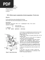 Hanging Drop Method for Microbial Motility | PDF | Applied And ...