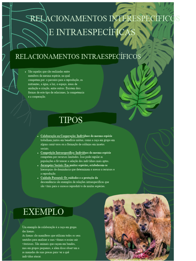 Relações Intraespecíficas: Cooperação e Competição | PDF